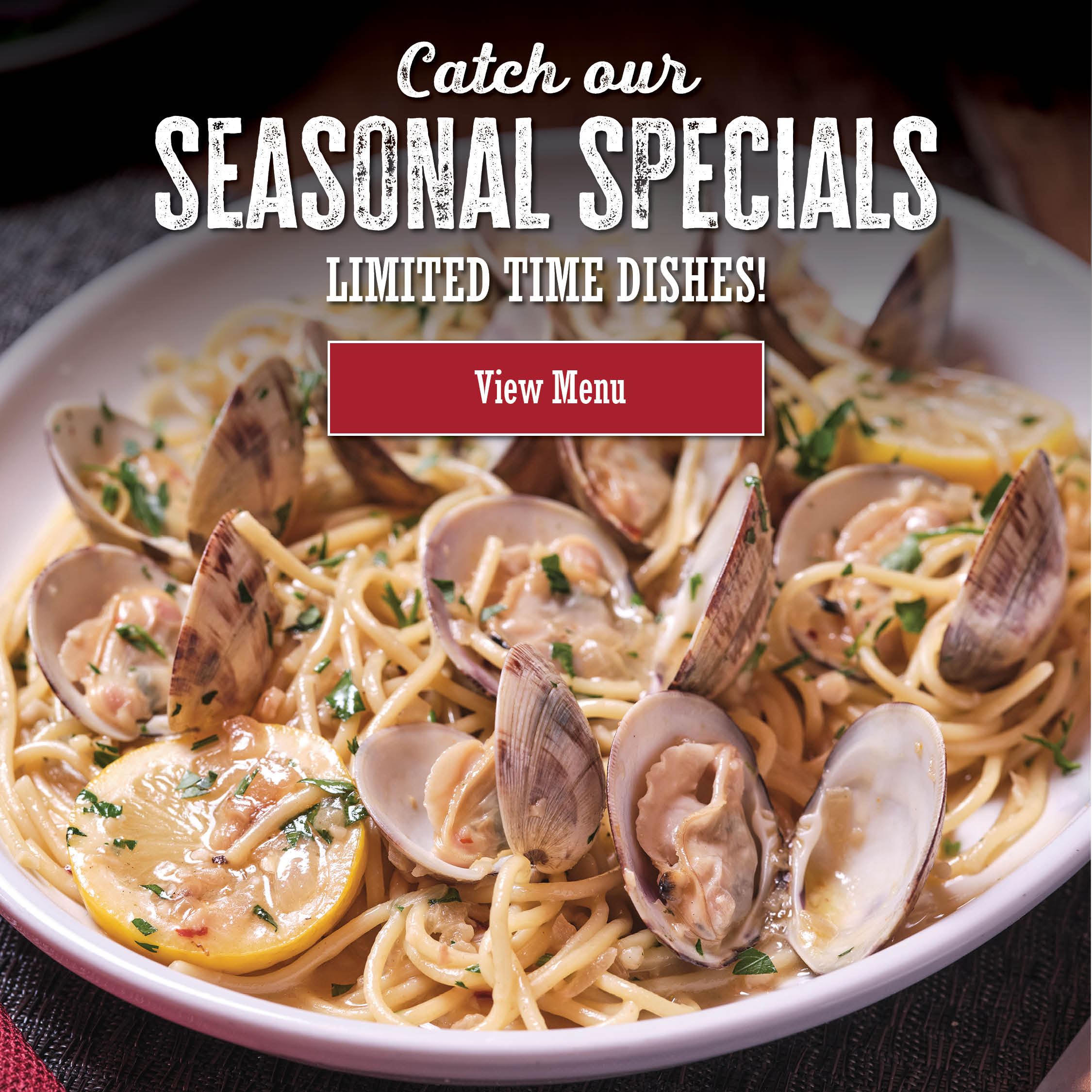 Catch our seasonal specials! Limited time dishes! View menu.