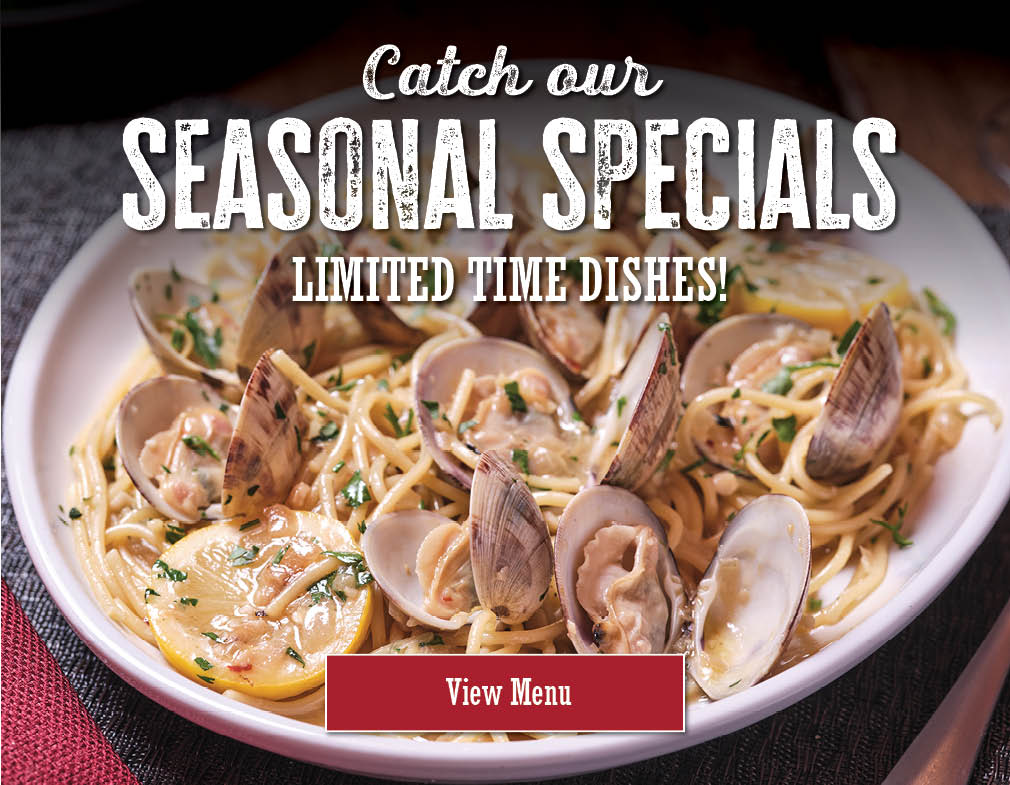 Catch our seasonal specials. Limited time dishes! View menu.